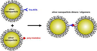 Graphical Abstract Image