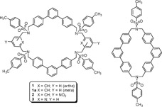 Graphical Abstract Image