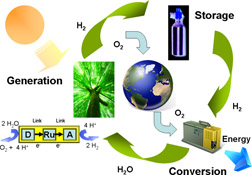 Graphical Abstract Image