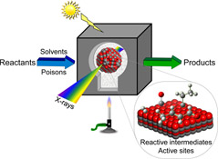 Graphical Abstract Image