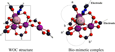 Graphical Abstract Image