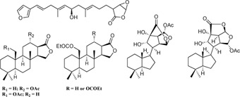 Graphical Abstract Image