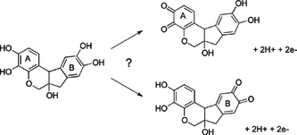 Graphical Abstract Image