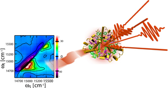 Graphical Abstract Image