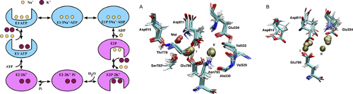 Graphical Abstract Image