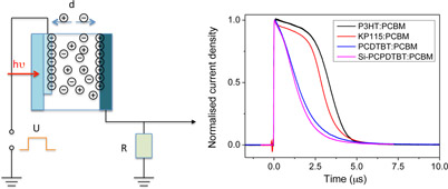 Graphical Abstract Image