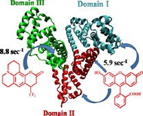 Graphical Abstract Image