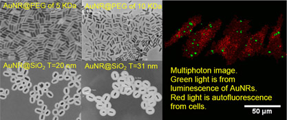 Graphical Abstract Image