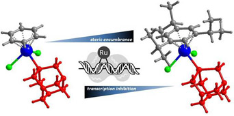 Graphical Abstract Image