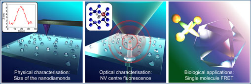 Graphical Abstract Image