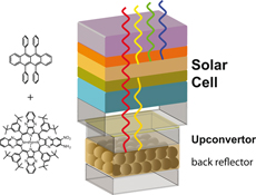 Graphical Abstract Image