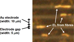 Graphical Abstract Image