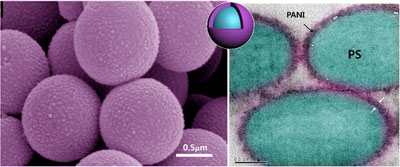 Graphical Abstract Image