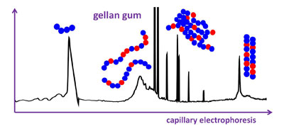 Graphical Abstract Image