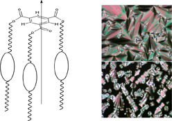 Graphical Abstract Image