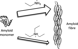 Graphical Abstract Image