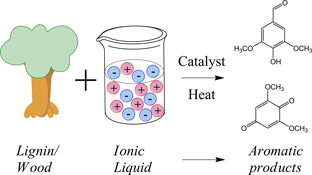 Graphical Abstract Image