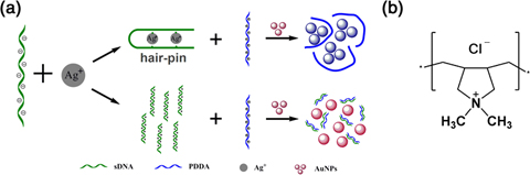 Graphical Abstract Image