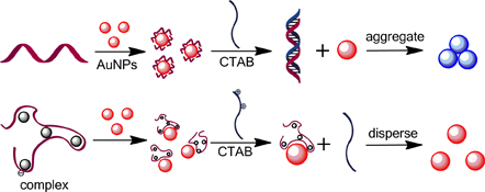 Graphical Abstract Image