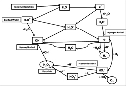 Graphical Abstract Image