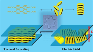 Graphical Abstract Image