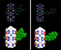 Graphical Abstract Image