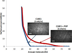 Graphical Abstract Image