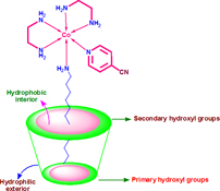 Graphical Abstract Image