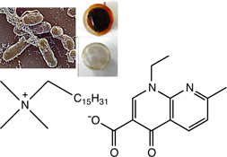 Graphical Abstract Image