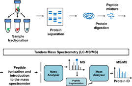 Graphical Abstract Image