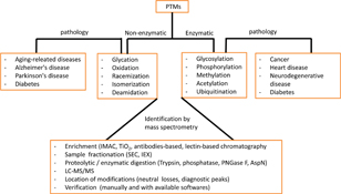 Graphical Abstract Image