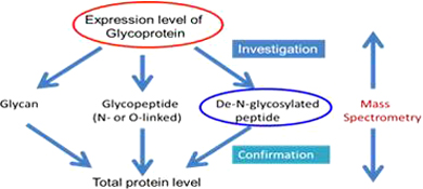 Graphical Abstract Image