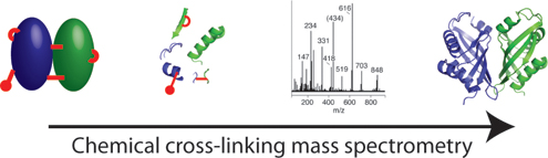 Graphical Abstract Image