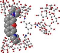 Graphical Abstract Image