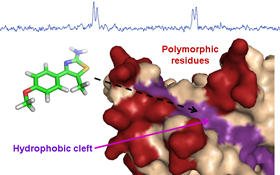 Graphical Abstract Image