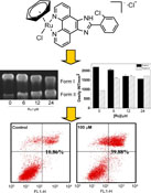 Graphical Abstract Image