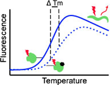 Graphical Abstract Image