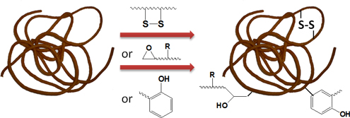 Graphical Abstract Image