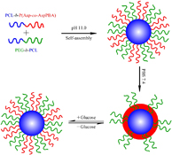 Graphical Abstract Image