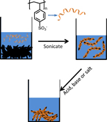 Graphical Abstract Image