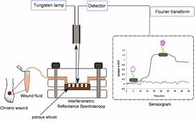 Graphical Abstract Image