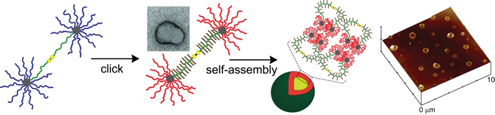 Graphical Abstract Image