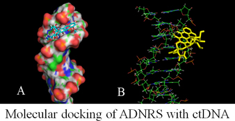 Graphical Abstract Image