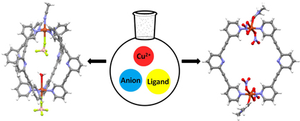 Graphical Abstract Image