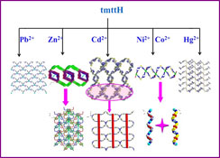 Graphical Abstract Image