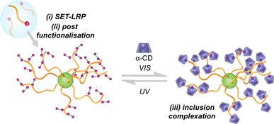 Graphical Abstract Image