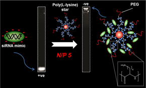 Graphical Abstract Image