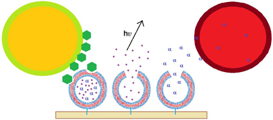 Graphical Abstract Image