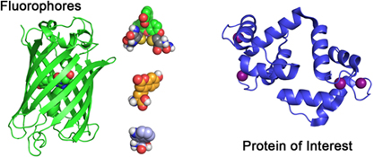 Graphical Abstract Image