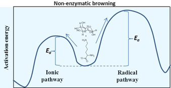 Graphical Abstract Image